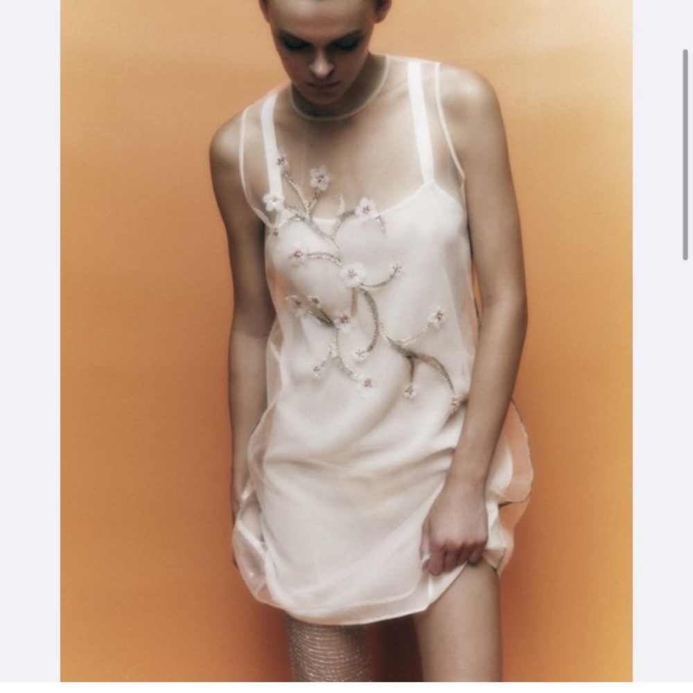 Lingerie dress